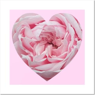 Delicate Pink Rose Flower Heart Posters and Art